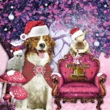 Weihnachtsmärchen mit Hund, Eule, Hase - Christmas Tale with dog, Owl, Rabbit - Conte de Noël avec chien, hibou, lapin