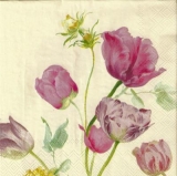 Wunderschöne Tulpen - Beautiful tulips - Belles tulipes