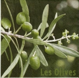 Les Olives - Olivenzweige - Olive branches - branches dolivier