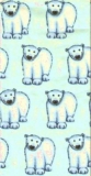 Eisbären - Polar Bears - Ours polaires