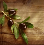 Olivenzweig auf Holz - Olives on wood - Branche dolivier sur bois