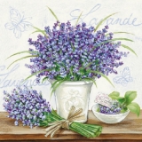 Lavendel - Lavender - Lavende