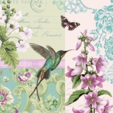 Collibri & Schmetterling an Blumen - Collibri & Butterfly on flowers - Collibri et papillon sur les fleurs