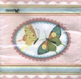 Schmetterlingstreffen - Butterfly Dating - Papillon rencontres