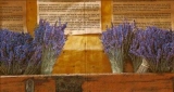 Lavendel der Provence - Lavender of Provence - Lavande de Provence