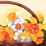 Narzissen-Korb - Daffodil Basket - Jonquille Commander