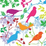Buntes Vogelparadies - Colorful bird of paradise - Oiseau coloré de paradis