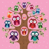 Eulenfamilie auf Baum - Owl family on tree - Famille de hibou sur larbre