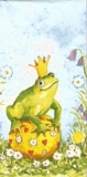 Frosch - König auf Blumenwiese - King Frog on flower Meadow - Roi de grenouille sur le pré de fleur