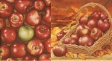 Frische Äpfel - Fresh apples - Pommes fraîches