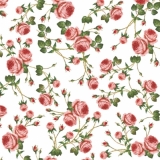 Kleine Röschen, Rosen - Little Roses - petites roses