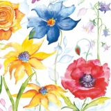 Bunte Blumenwelt - Colourful world of flowers - Monde coloré de fleurs