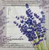 Lavendel & Geschriebenes - Lavender & Written - Lavande & écrite