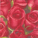 Wunderschöne rote Rosen - Beautiful red roses - Belles roses rouges