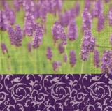 Lavendelfeld & Muster - Lavender Field & pattern - Champ de lavande et modèle