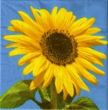 Schöne große Sonnenblume - Beautiful large sunflower - Belle grand tournesol
