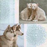 Huskies & Eisbären - Polar bears -  Huskies et les ours polaires