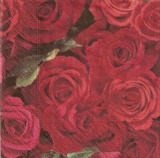 Meer von roten Rosen - Red roses - Roses rouges
