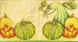 Kürbiswelt - Pumpkin world - La citrouille mondiale