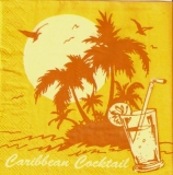 Sonnenuntergang in der Karibik, Cocktail - Sunset in the Caribbean - Coucher de soleil dans les Caraïbes