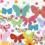 Bunte Schmetterlinge - Colourful Butterflies - Papillons colorés