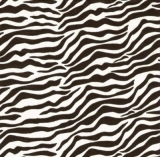 Zebra-Muster - Zebra Pattern - Modèle de zèbre