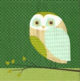2 Eulen grün - 2 Owls - 2 Hiboux