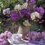Wunderschöne Blumen in Kanne, Tasse, Buch, Garten - Beautiful flowers in pot, cup, book, Garden - Belles fleurs en pot, livre, jardin