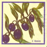 Oliven - Olives - LOlive