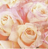 Pastellfarbene Rosen - Pastel-colored roses - Roses aux couleurs pastel