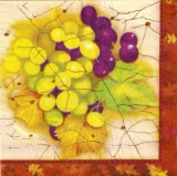 Weintrauben & herbstlicher Rahmen - Grapes & autumnal frame - Raisins & cadre automnal