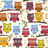 Bunte Eulen auf Baum - Colorful Owls on Tree - Hiboux colorés sur l arbre