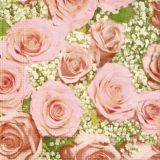 Rosenmeer in pink - Sea of ​​roses in pink - Mer de roses en rose