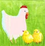Henne mit 2 Küken - Hen with 2 chicks - Poule avec 2 poussins