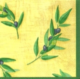 Wunderschöne Olivenzweige - Beautiful olive branches - Belles branches dolivier