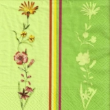 Blumenranke in bunt & grün - Flower tendril in colorful & green - Fleurs vrille en coloré & vert