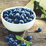 Schale mit Blaubeeren - Bowl of blueberries - Bol de bleuets