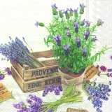 Lavendel & Blumen im Topf & Holzkiste - Lavender & flowers in pot & wooden box, Flavour of Provence - Lavande et fleurs en pot & boîte en bois
