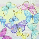 Viele bunte Schmetterlinge - Many colorful butterflies - Beaucoup de papillons colorés