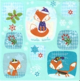 Fuchs warm gezogen - Fox is dressed warmly - Fox est habillé chaudement