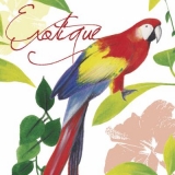 Exotischer Vogel, Papagei, Ara - Exotic bird, parrot - Oiseaux exotiques, perroquets