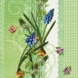 Traubenhyazinthen & Schmetterlinge - Grape hyacinths & Butterflies - Raisin jacinthes & papillons