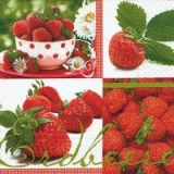 Wunderschöne Erdbeeren-Komposition - Beautiful strawberries composition - Composition belles fraises