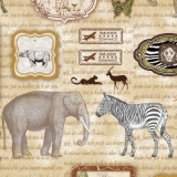 Elefant, Zebra, Gepard, Leopard, Springbock, Nashorn, Löwe, Flugzeug - Flight to Africa - vol pour l Afrique