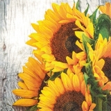 Wunderschöne Sonnenblumen - Beautiful sunflowers - Belles tournesols
