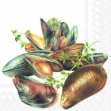 Wunderschöne Muscheln - Beautiful shells - Belles coquilles