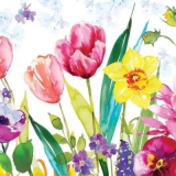 Buntes Blumenbeet - Colourful flower patch - Coloré patch fleur