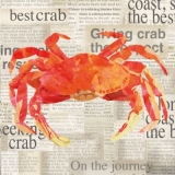 Zeitungsartikel über die Krabbe - Newspaper articles about the crab - Les articles de journaux sur le crabe