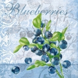 Leckere Blaubeeren direkt vom Strauch - Delicious blueberries straight from the bush - Délicieux bleuets droite de la brousse