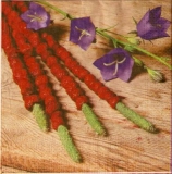 Hübsche Blumen auf Holz - Pretty flowers on wood - Jolies fleurs sur bois
